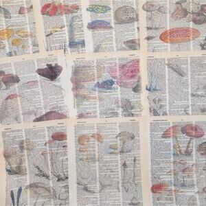 Mushroom Dictionary Prints 3, Colorful Mushroom Prints, Book Page Prints